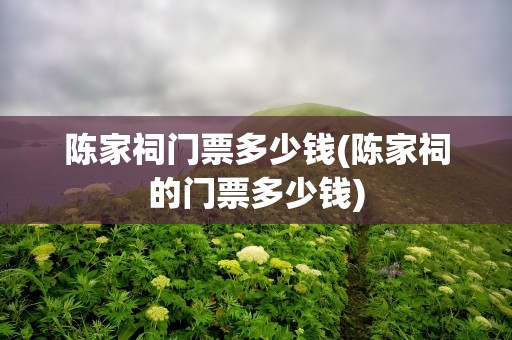 陈家祠门票多少钱(陈家祠的门票多少钱)