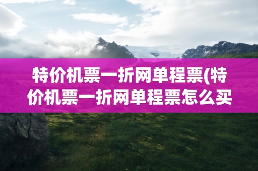 特价机票一折网单程票(特价机票一折网单程票怎么买)