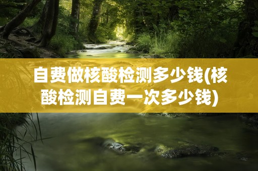 自费做核酸检测多少钱(核酸检测自费一次多少钱)