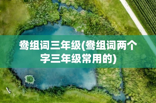 鸯组词三年级(鸯组词两个字三年级常用的)