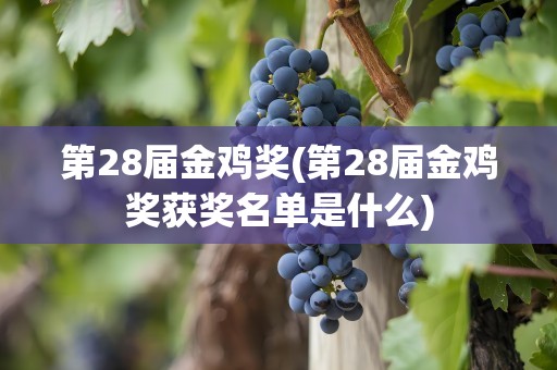 第28届金鸡奖(第28届金鸡奖获奖名单是什么)