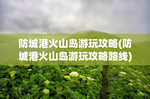 防城港火山岛游玩攻略(防城港火山岛游玩攻略路线)