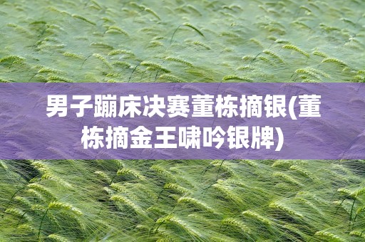 男子蹦床决赛董栋摘银(董栋摘金王啸吟银牌)
