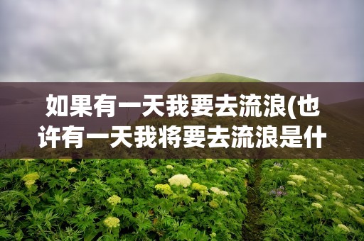 如果有一天我要去流浪(也许有一天我将要去流浪是什么歌的歌词)