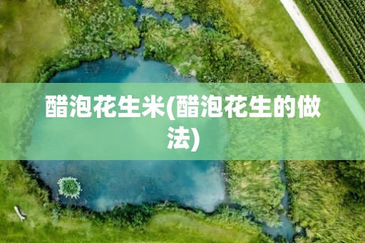 醋泡花生米(醋泡花生的做法)