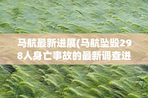 马航最新进展(马航坠毁298人身亡事故的最新调查进展如何)
