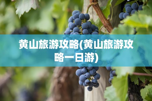 黄山旅游攻略(黄山旅游攻略一日游)