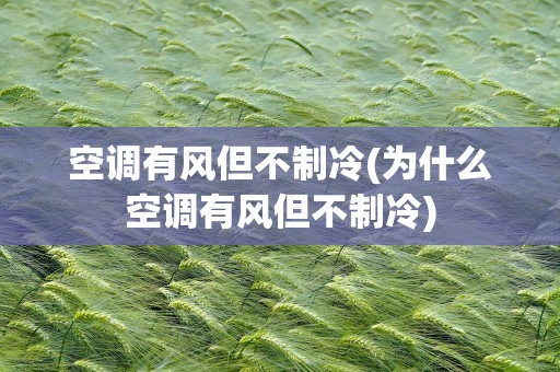 空调有风但不制冷(为什么空调有风但不制冷)
