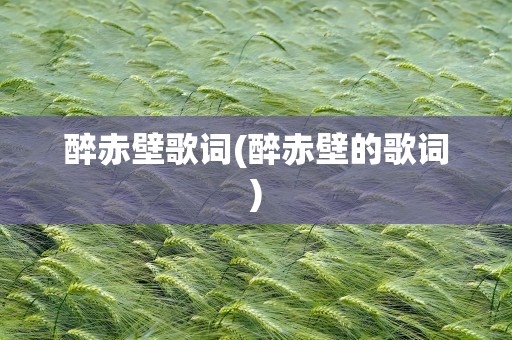 醉赤壁歌词(醉赤壁的歌词)