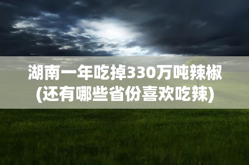 湖南一年吃掉330万吨辣椒(还有哪些省份喜欢吃辣)
