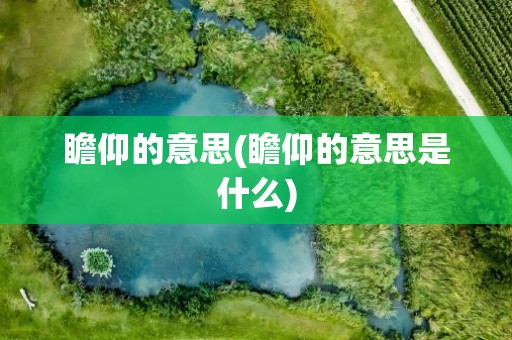 瞻仰的意思(瞻仰的意思是什么)