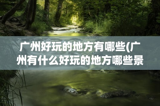 广州好玩的地方有哪些(广州有什么好玩的地方哪些景点必去)