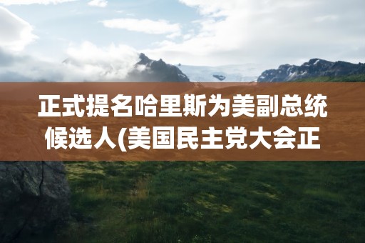 正式提名哈里斯为美副总统候选人(美国民主党大会正式提名谁为副总统候选人)