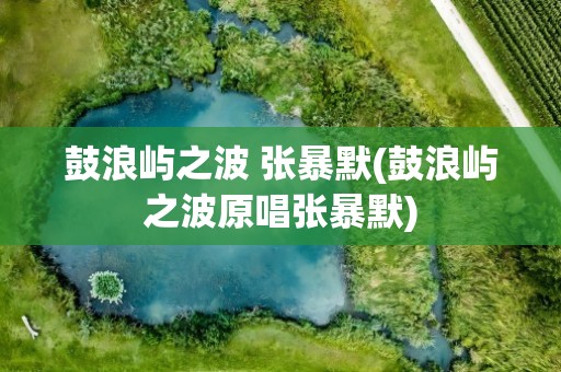 鼓浪屿之波 张暴默(鼓浪屿之波原唱张暴默)