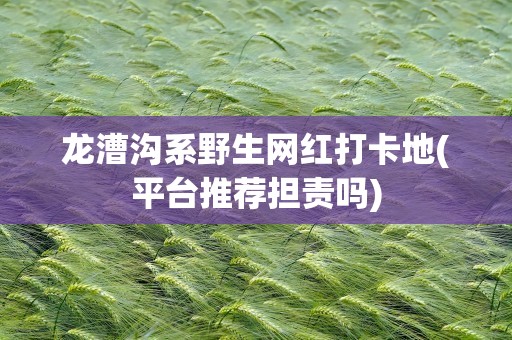 龙漕沟系野生网红打卡地(平台推荐担责吗)