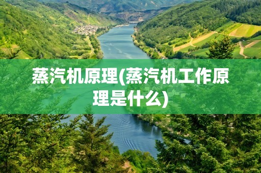 蒸汽机原理(蒸汽机工作原理是什么)