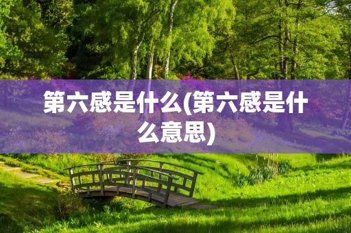 第六感是什么(第六感是什么意思)