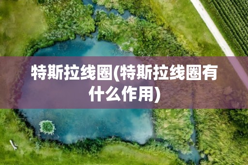 特斯拉线圈(特斯拉线圈有什么作用)