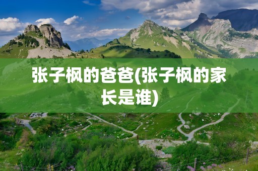 张子枫的爸爸(张子枫的家长是谁)