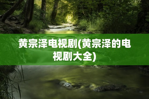 黄宗泽电视剧(黄宗泽的电视剧大全)