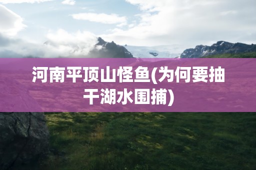 河南平顶山怪鱼(为何要抽干湖水围捕)