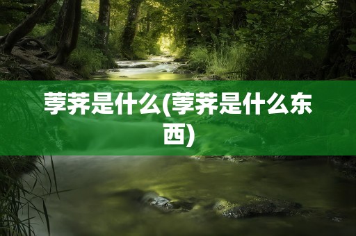 荸荠是什么(荸荠是什么东西)