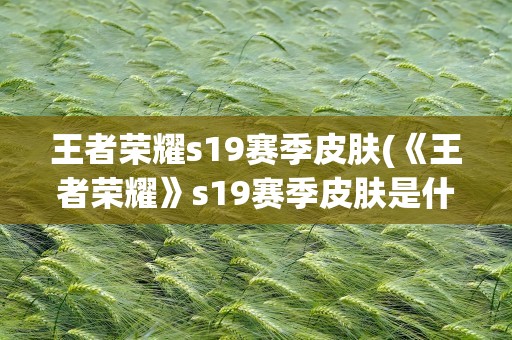 王者荣耀s19赛季皮肤(《王者荣耀》s19赛季皮肤是什么)