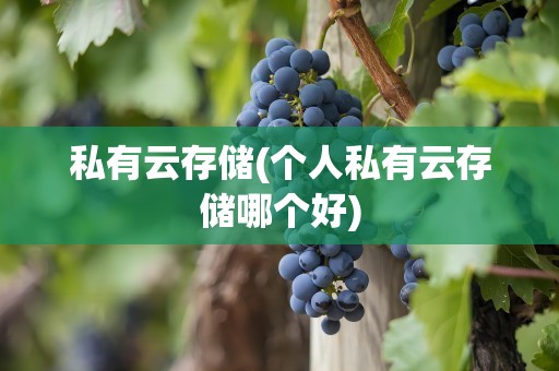 私有云存储(个人私有云存储哪个好)