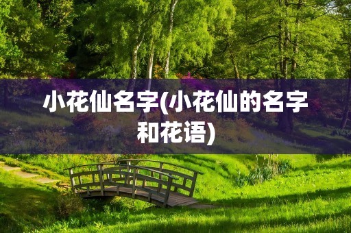 小花仙名字(小花仙的名字和花语)