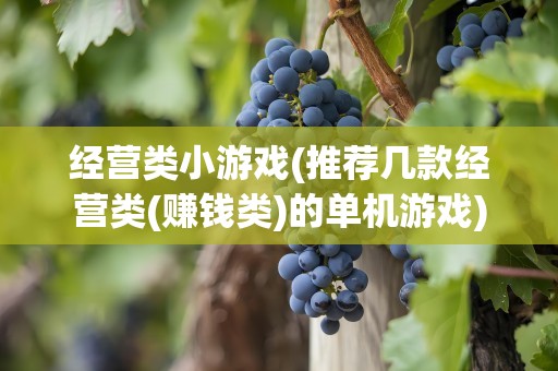 经营类小游戏(推荐几款经营类(赚钱类)的单机游戏)