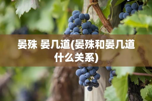 晏殊 晏几道(晏殊和晏几道什么关系)