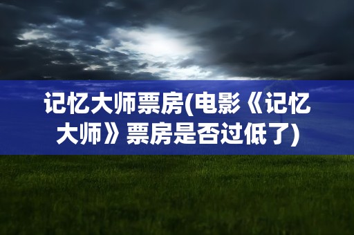记忆大师票房(电影《记忆大师》票房是否过低了)