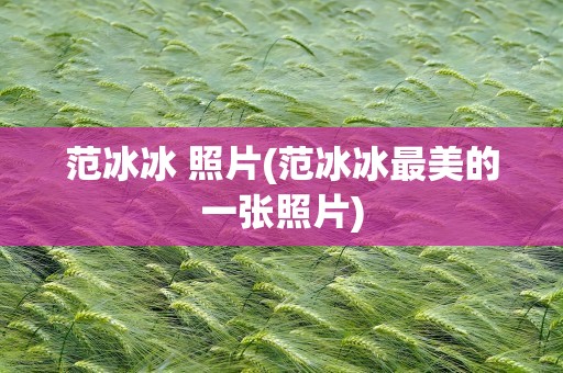 范冰冰 照片(范冰冰最美的一张照片)