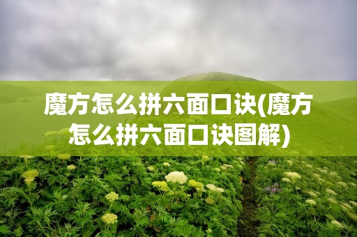 魔方怎么拼六面口诀(魔方怎么拼六面口诀图解)