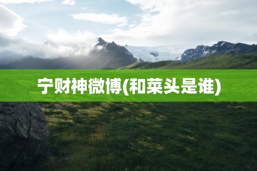 宁财神微博(和菜头是谁)