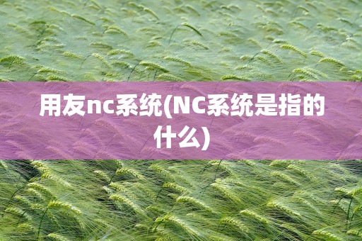 用友nc系统(NC系统是指的什么)