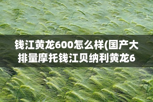 钱江黄龙600怎么样(国产大排量摩托钱江贝纳利黄龙600质量到底怎么样)