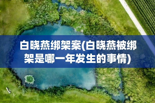 白晓燕绑架案(白晓燕被绑架是哪一年发生的事情)