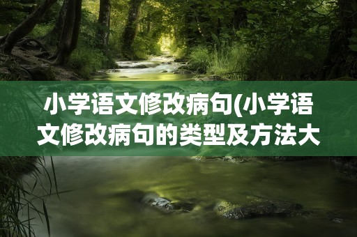 小学语文修改病句(小学语文修改病句的类型及方法大全)