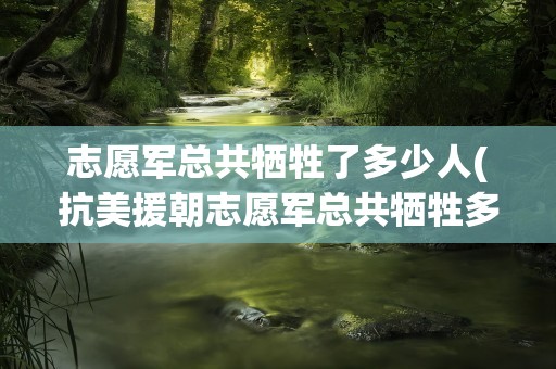 志愿军总共牺牲了多少人(抗美援朝志愿军总共牺牲多少人)