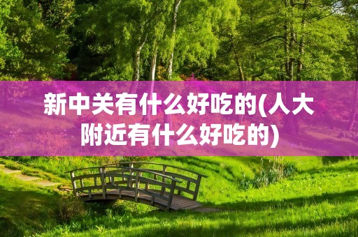 新中关有什么好吃的(人大附近有什么好吃的)