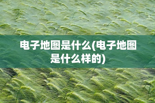 电子地图是什么(电子地图是什么样的)