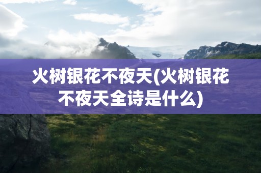 火树银花不夜天(火树银花不夜天全诗是什么)