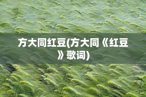 方大同红豆(方大同《红豆》歌词)