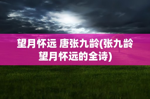 望月怀远 唐张九龄(张九龄望月怀远的全诗)