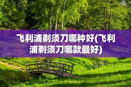 飞利浦剃须刀哪种好(飞利浦剃须刀哪款最好)