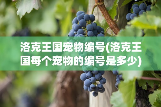 洛克王国宠物编号(洛克王国每个宠物的编号是多少)
