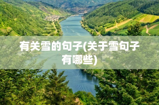 有关雪的句子(关于雪句子有哪些)