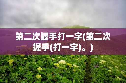 第二次握手打一字(第二次握手(打一字)。)
