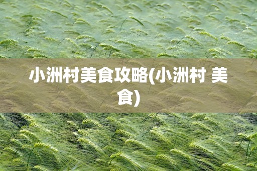 小洲村美食攻略(小洲村 美食)